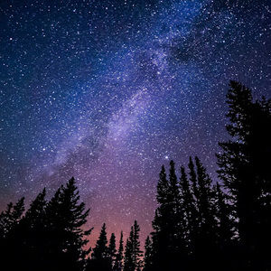 Meet your Posher, Scarlet